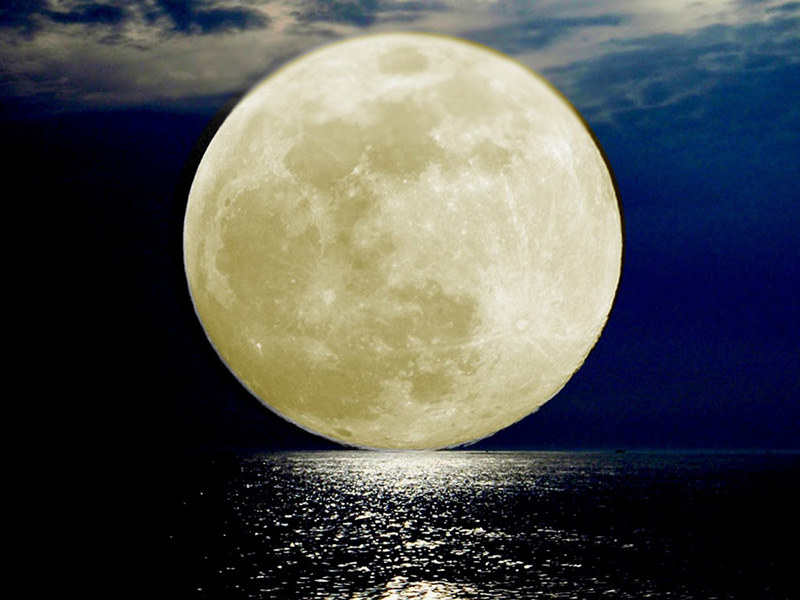 Full Moon Teleconference Thursday, April 6th 2023
