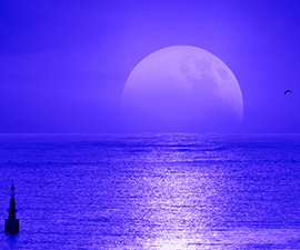 Monthly Full Moon Circle Channeling Calls: One Year Package