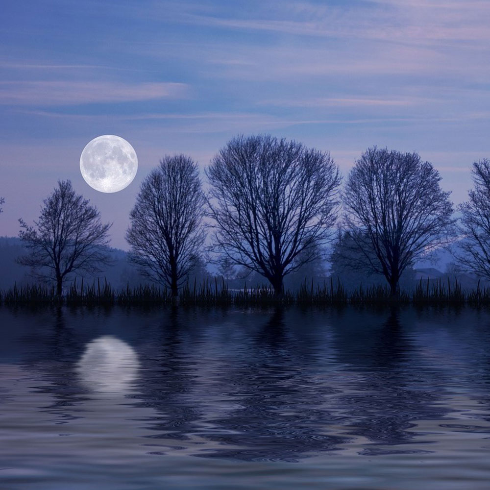 2021 Full Moon Channeling Circles ~ Complete 12 Months: Digital Audio Recordings