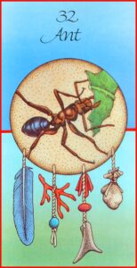 Ant card from Medicine Cards: The Discovery of Power Through the Ways of Animals
