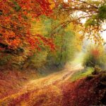 Chakra Attunement